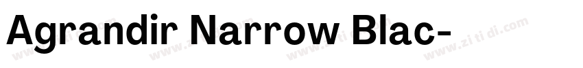 Agrandir Narrow Blac字体转换